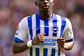 里程碑夜！布莱顿扳平良机，英超窗口期刷纪录，赛场秩序良好，年轻球员得到机会的简单介绍-爱游戏官网